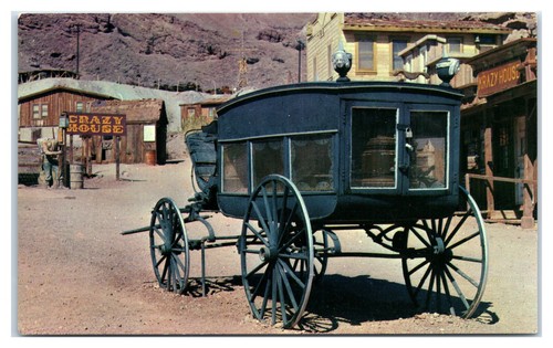 Horse drawn hearse - horse, in