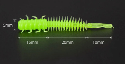Larva creature bug grub - creature,