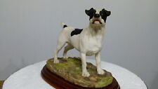 Border fine arts jack Russell