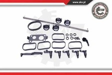 Repair Kit, intake manifold