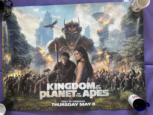 Kingdom the planet - planet,