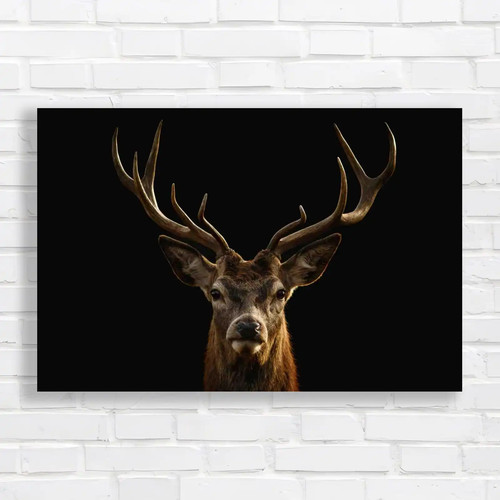 The deer head stag buck - the,
