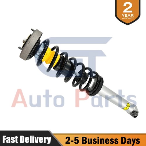 Rear shock strut - assembly, w/o