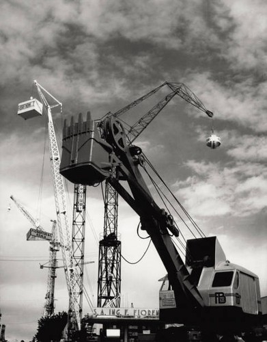 View series cranes - , scrapers