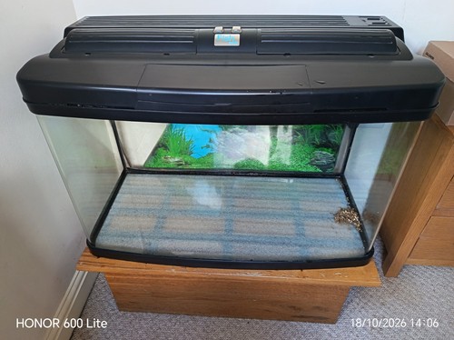 Interpet fish pod - interpet,