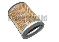 Genuine Air Filter T2202450