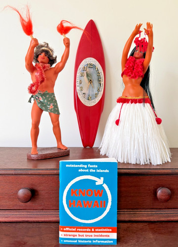 Vintage hawaii souvenir lot - souvenir,