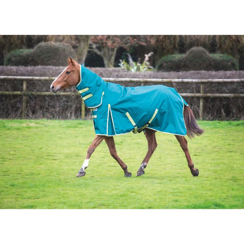Shires ontario 100g - shires, combo