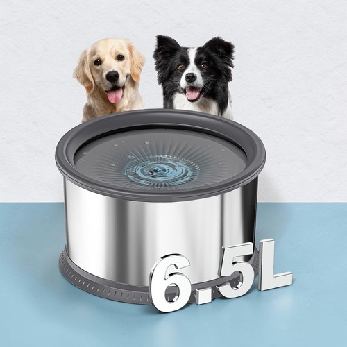 Dog water bowl spill - water, no