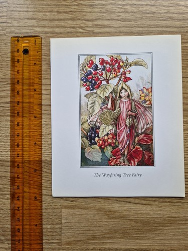 Cicely mary barker - cicely,