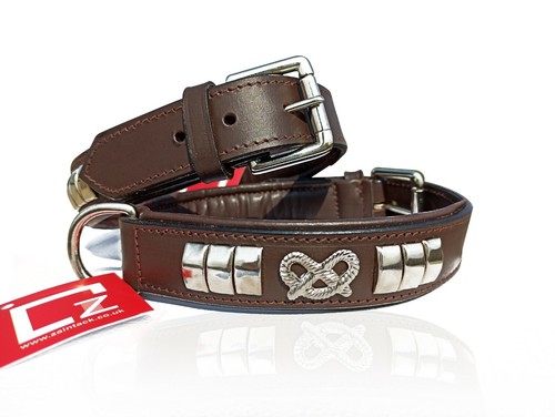 Leather designer dog collar - designer,