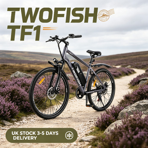 Twofish bike 250w - e-bike,