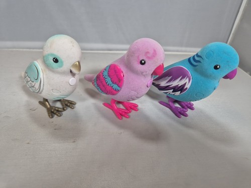 Little live pets birds - little,