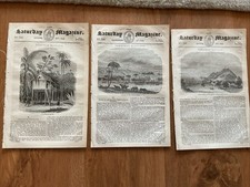 1843  SUMATRA  ILLUSTRATIVE