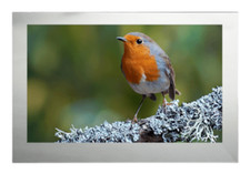 ProofVision 24″ Premium Widescreen Waterproof Bathroom Smart TV Mirro – PV24MF-A