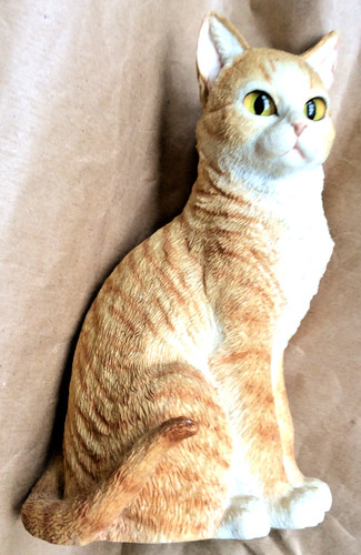 Country artists ginger tabby - artists,