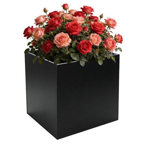 Inch large square planter - 24,