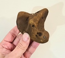 SPECIAL! Amazing Example