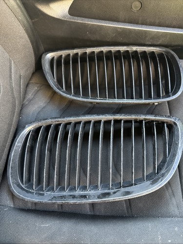 Bmw kidney grills - kidney, e90