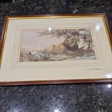 A Beautiful Framed David