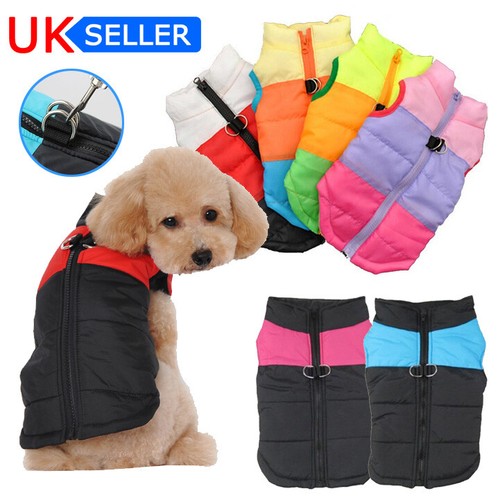 Small pet dog - dog, waterproof