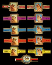 POMERANIAN POM POM TOY DOG ORIGINAL & GENUINE DUTCH CIGAR BANDS x 11 Spitz
