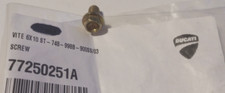 Ducati ST3, ST4, Monster Screw