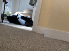 Suit Carrier Bag Wheeled Green Good Condition Folds In Half Zip Pockets Hangers