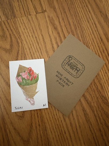 Ana inciardi mini prints - mini,