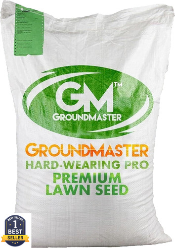 Lawn grass seed - grass, ground