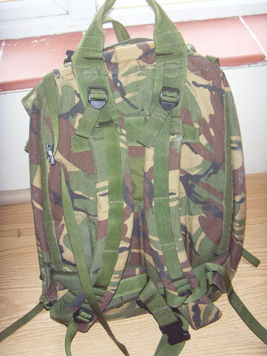 British army other arms turtle - british,