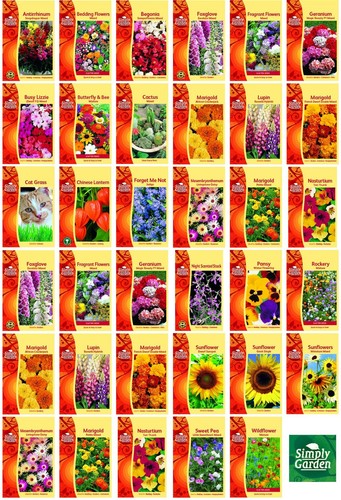 Simply garden flower - simply,