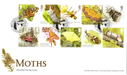 2026 moths first - , cover