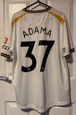 Wolverhampton Wanderers Wolves