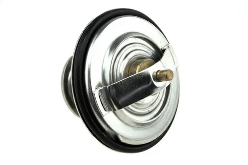Thermostat without housing
