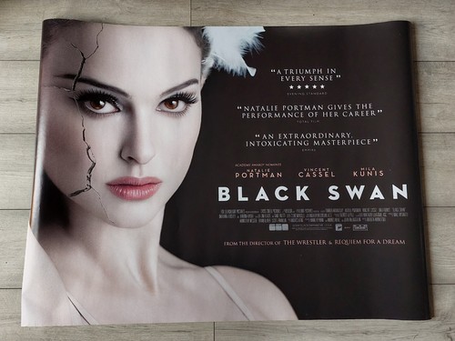 Black swan british - swan,
