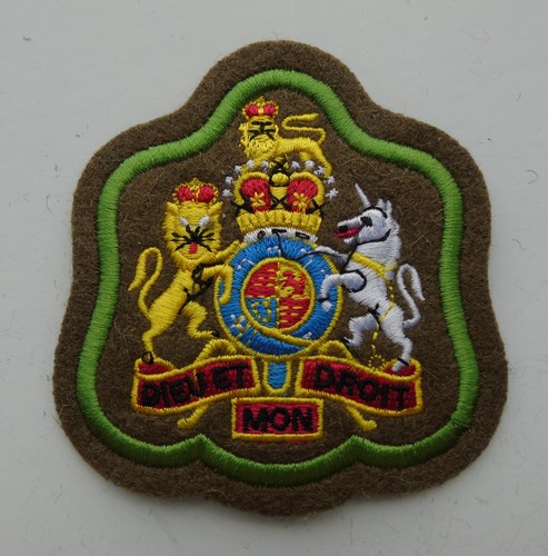 British army warrant officer - british,