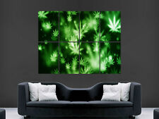 WEED MARIJUANA GIANT WALL
