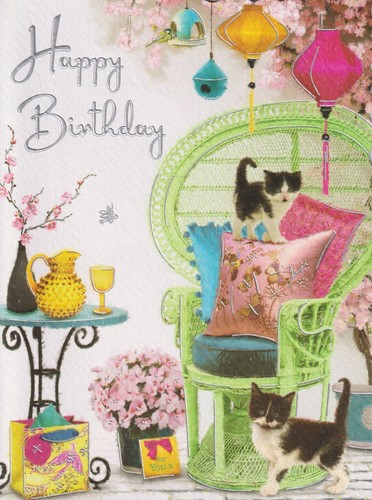 Open female male birthday - open,
