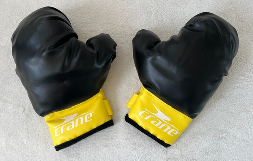 Crane kids play boxing - play, gloves