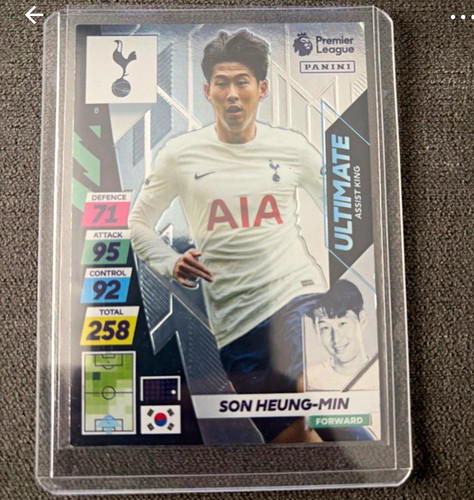 Panini premier league - premier,