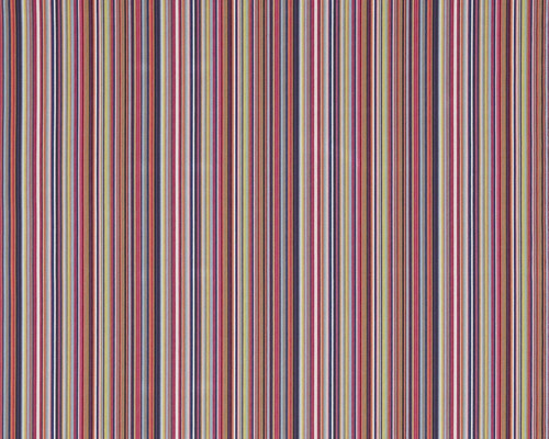 Harlequin zuri multicoloured - zuri,