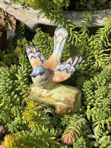 Vintage crown staffordshire - vintage,