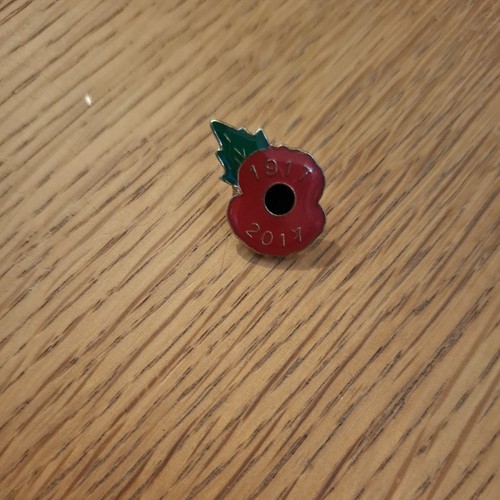 Remembrance pin badge ww1 - pin,