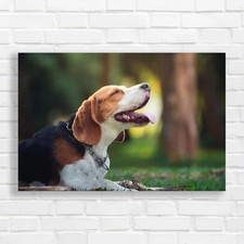 Playful Beagle Dog Original