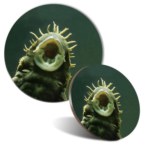 Mouse mat coaster set - mouse,