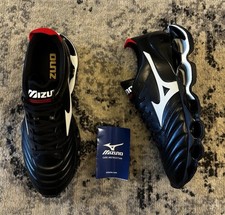 Mizuno wave prophecy morelia - wave,