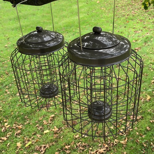 Squirrel proof hanging bird - proof,