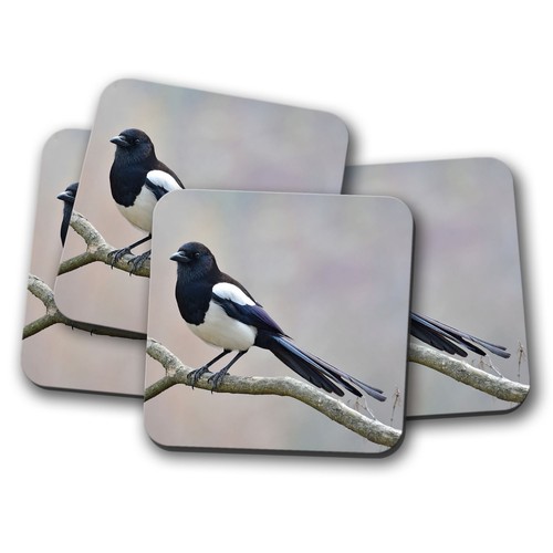 Set beautiful magpie - set,