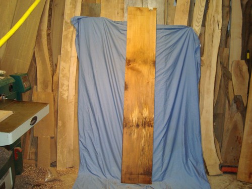 Spalted beech planks - beech, lumber